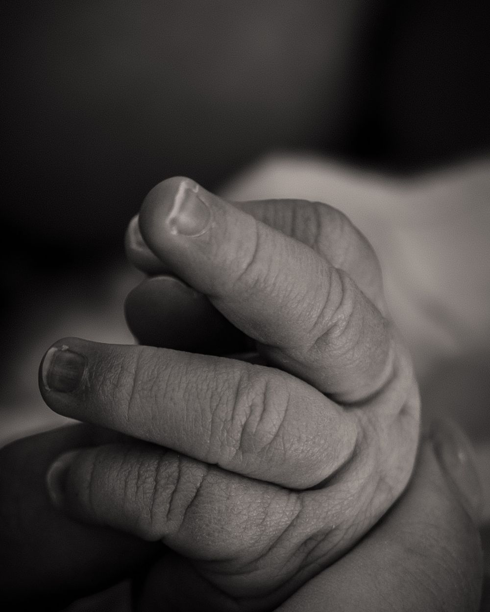 A series of black and white close-up photographs showing fingers and hands in various positions and gestures.