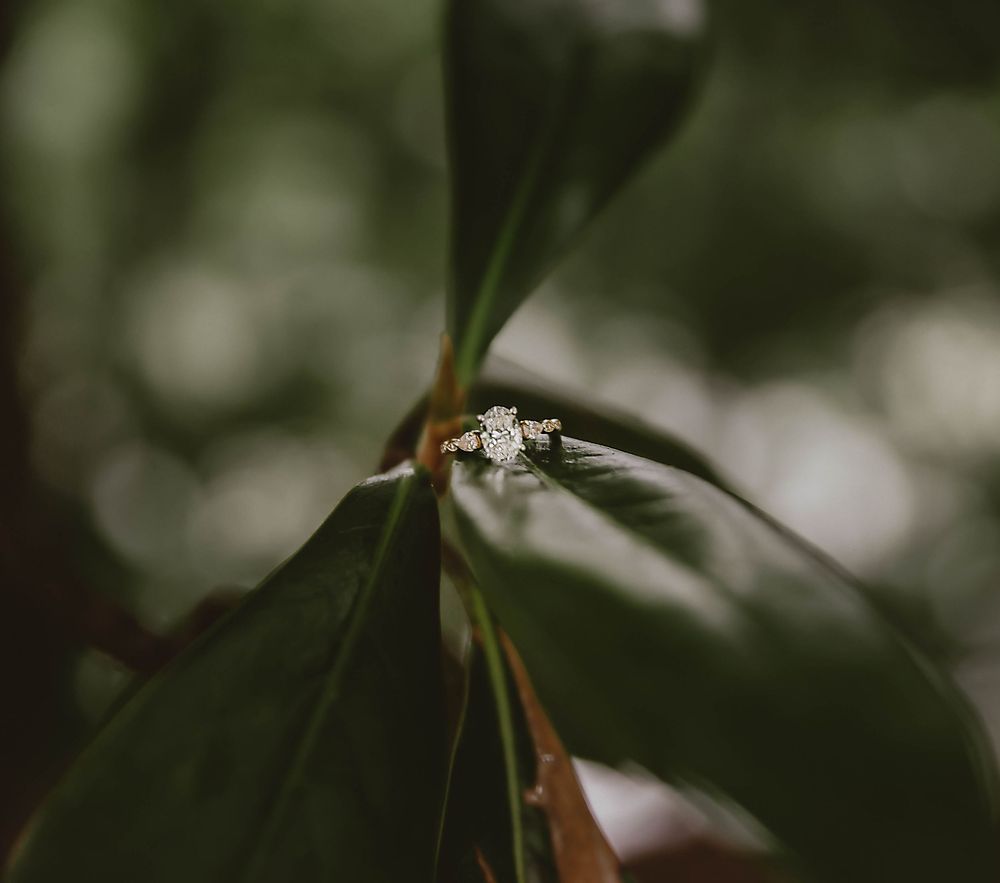 Close-up macro shot of a diamond engagement ring on green foliage.