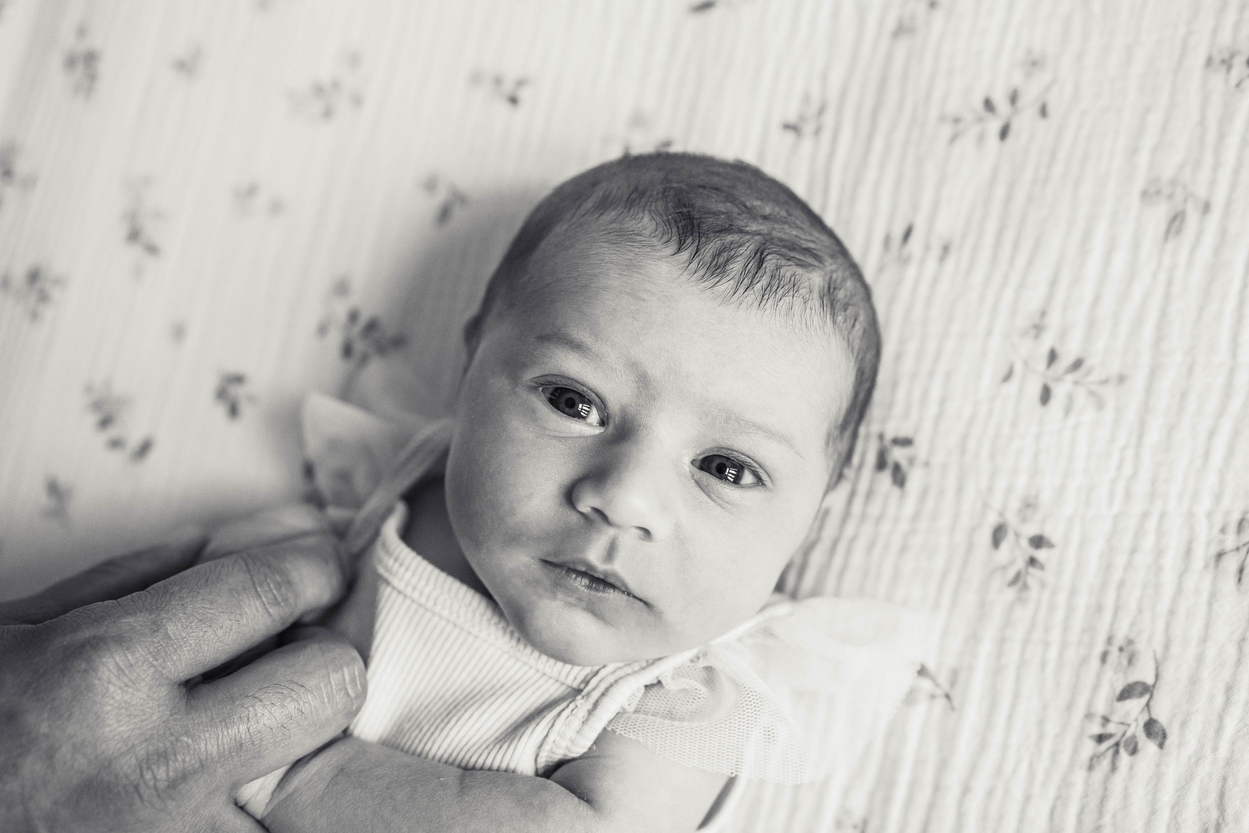 Black and white photo of newborn looking at camera.