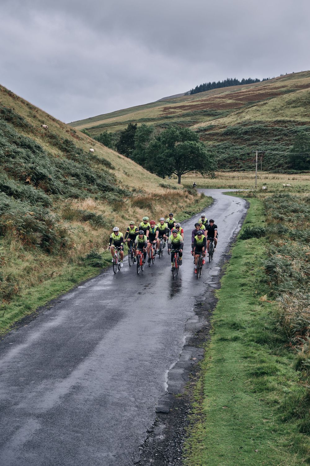 Group of cyclists in yellow jerseys riding on a wet winding road through green hilly countryside on a cloudy day.