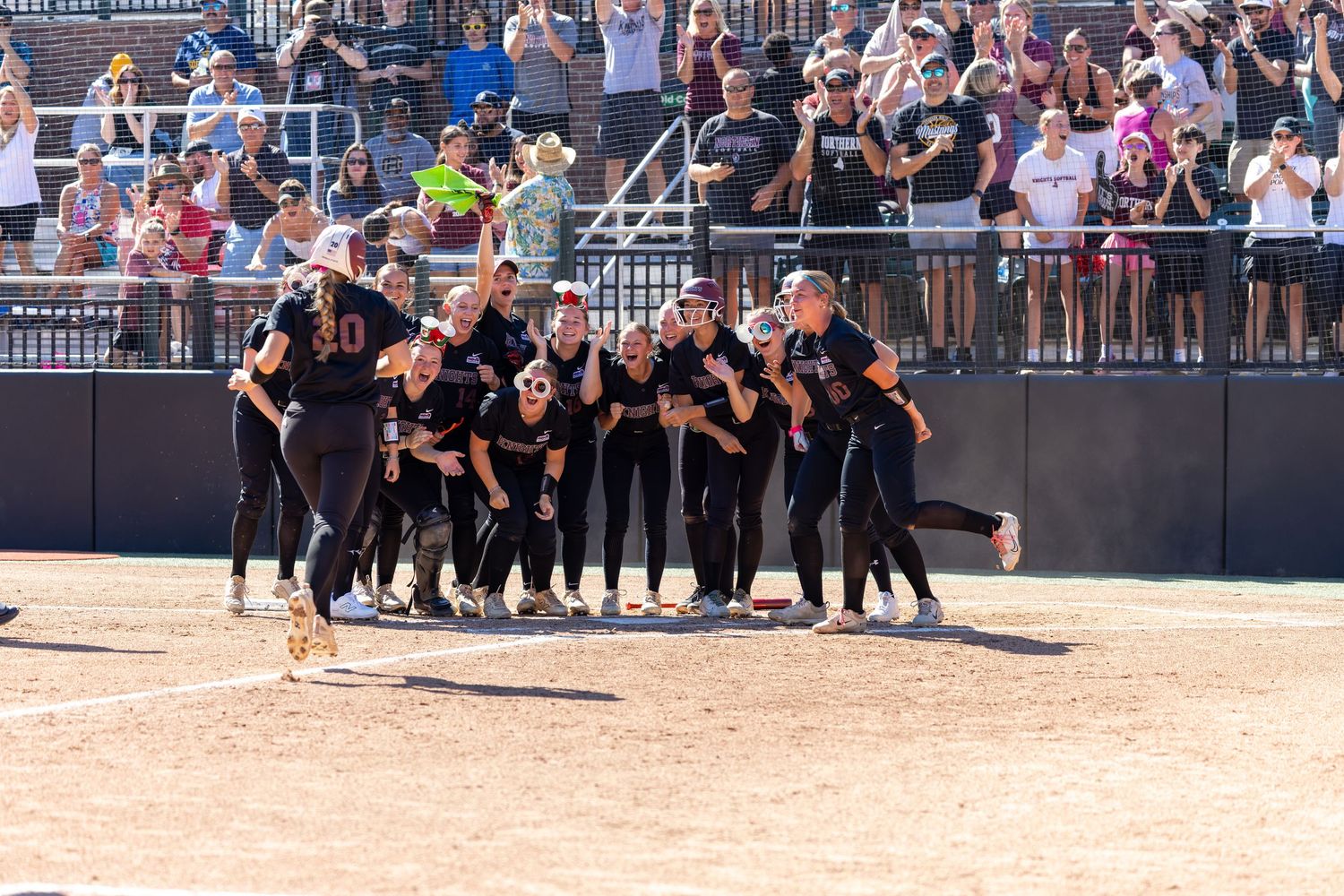 Softball team celebrating a home run at home plate with cheering crowd in the stands during a sunny game.