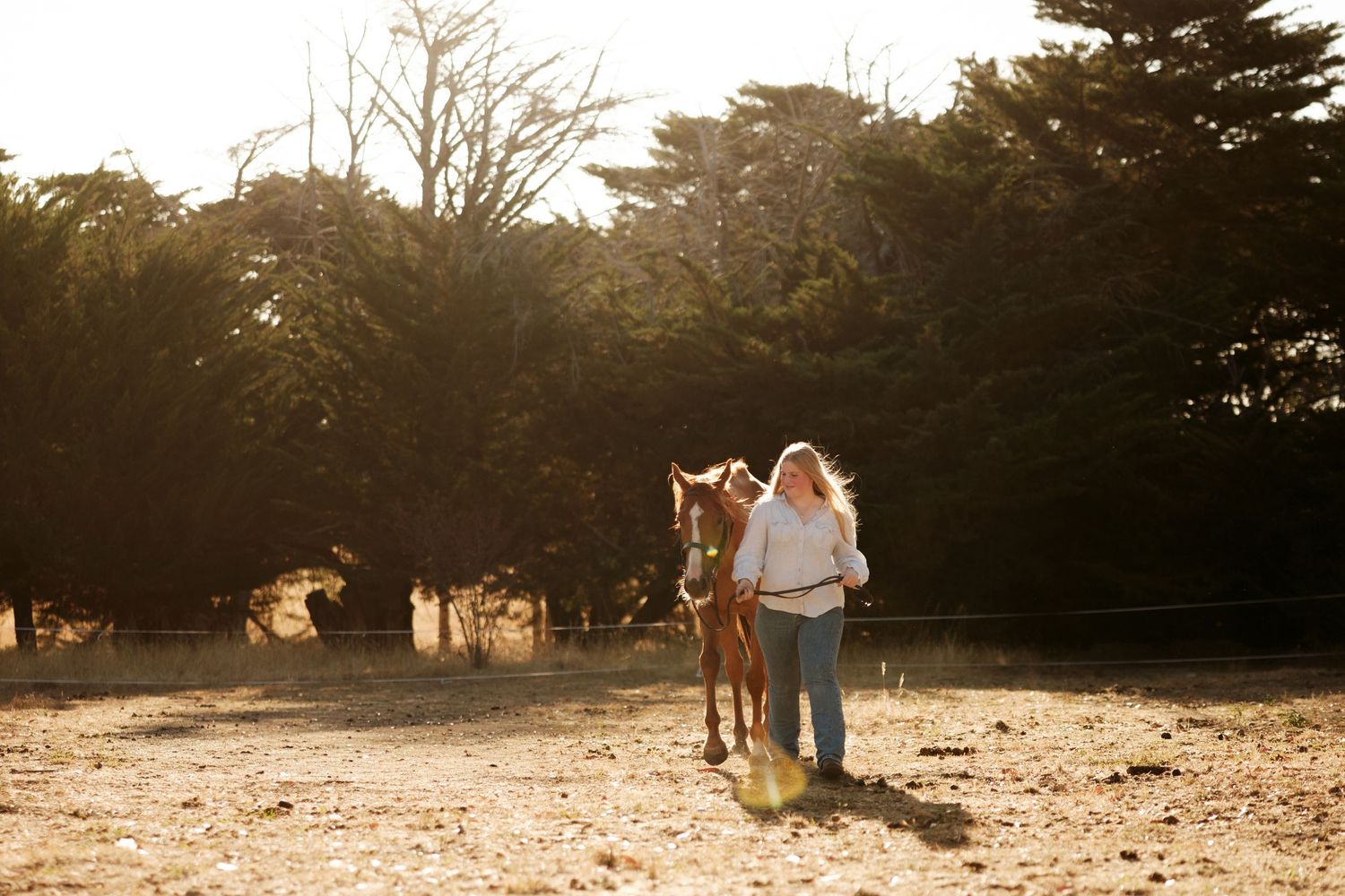 Woman walking with a chestnut horse in a sunlit field surrounded by trees.
