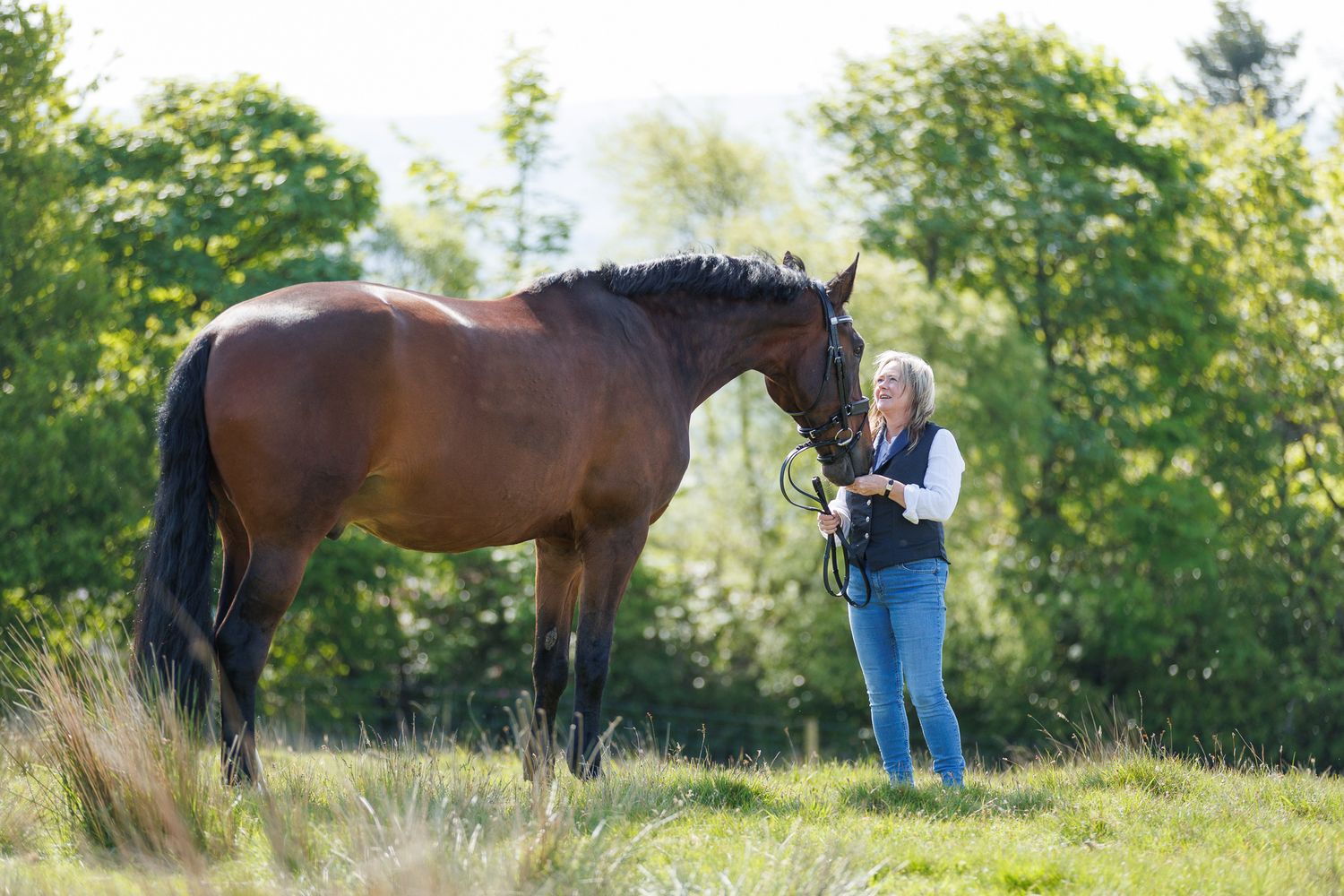 A beautiful black and white paint horse stands with a person on a sunny autumn day outdoors.