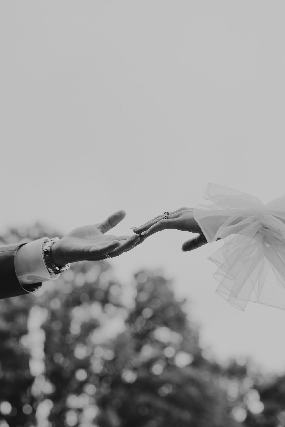 Black and white photo of two hands almost touching, one wearing a bracelet, with blurred trees in the background.
