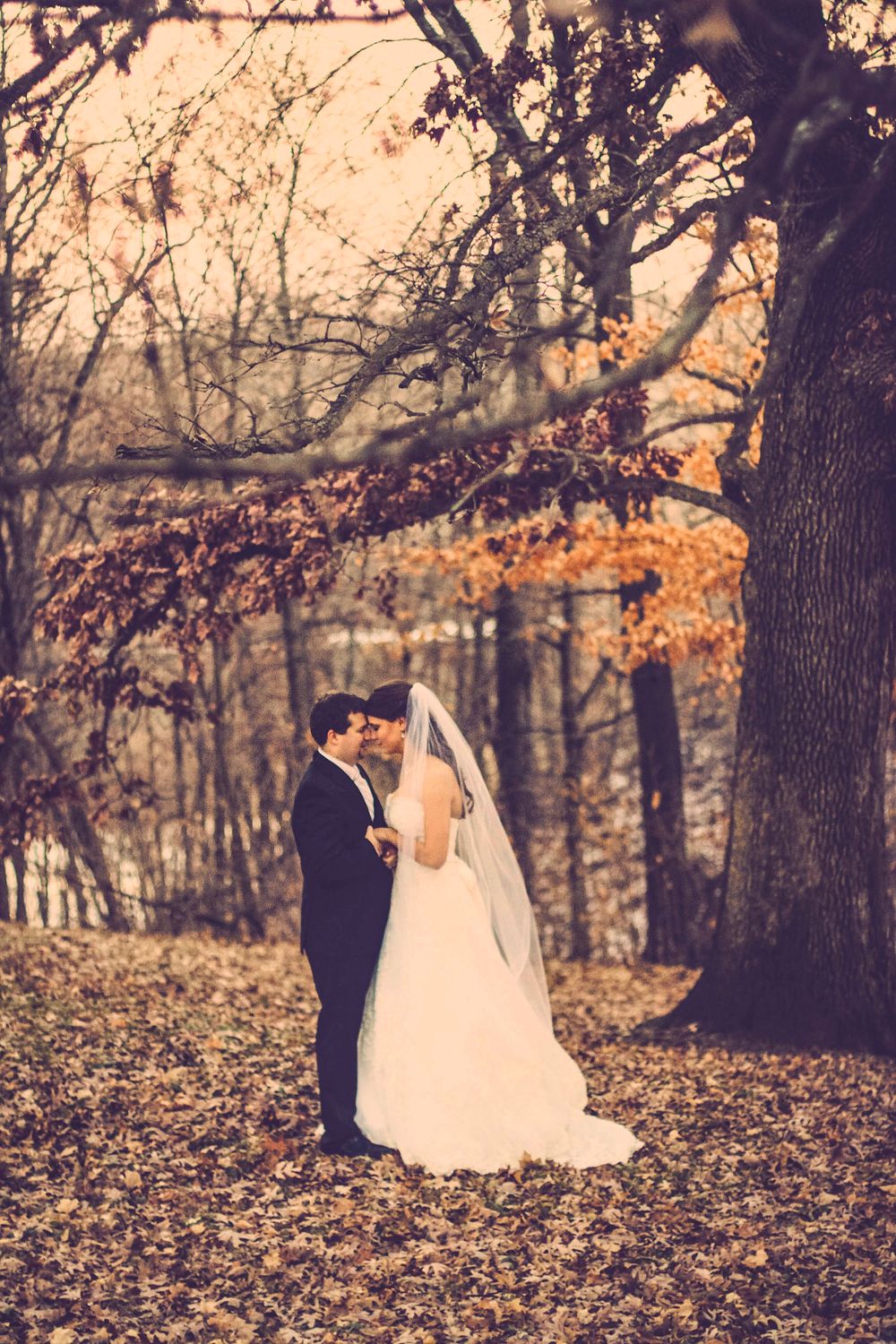 Bride and groom share a romantic kiss outdoors among autumn foliage and fallen leaves near a large tree.