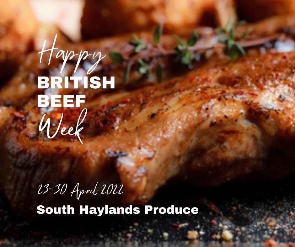Local beef producer photo shoot and advert design
