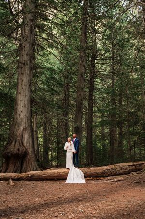 Elegant bride and groom standing among towering redwood trees on rustic forest floor during outdoor wedding portrait.