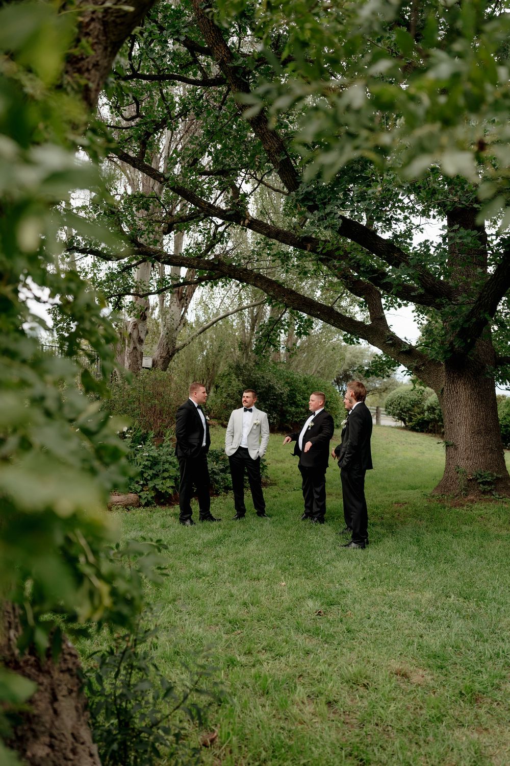 Groom and groomsmen in black tuxedos standing under large trees in lush garden.