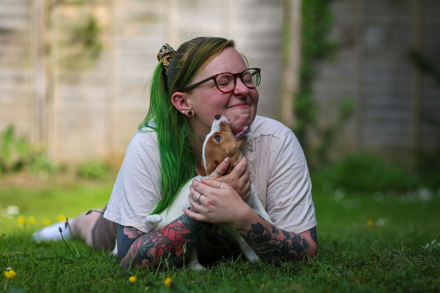 dog photography