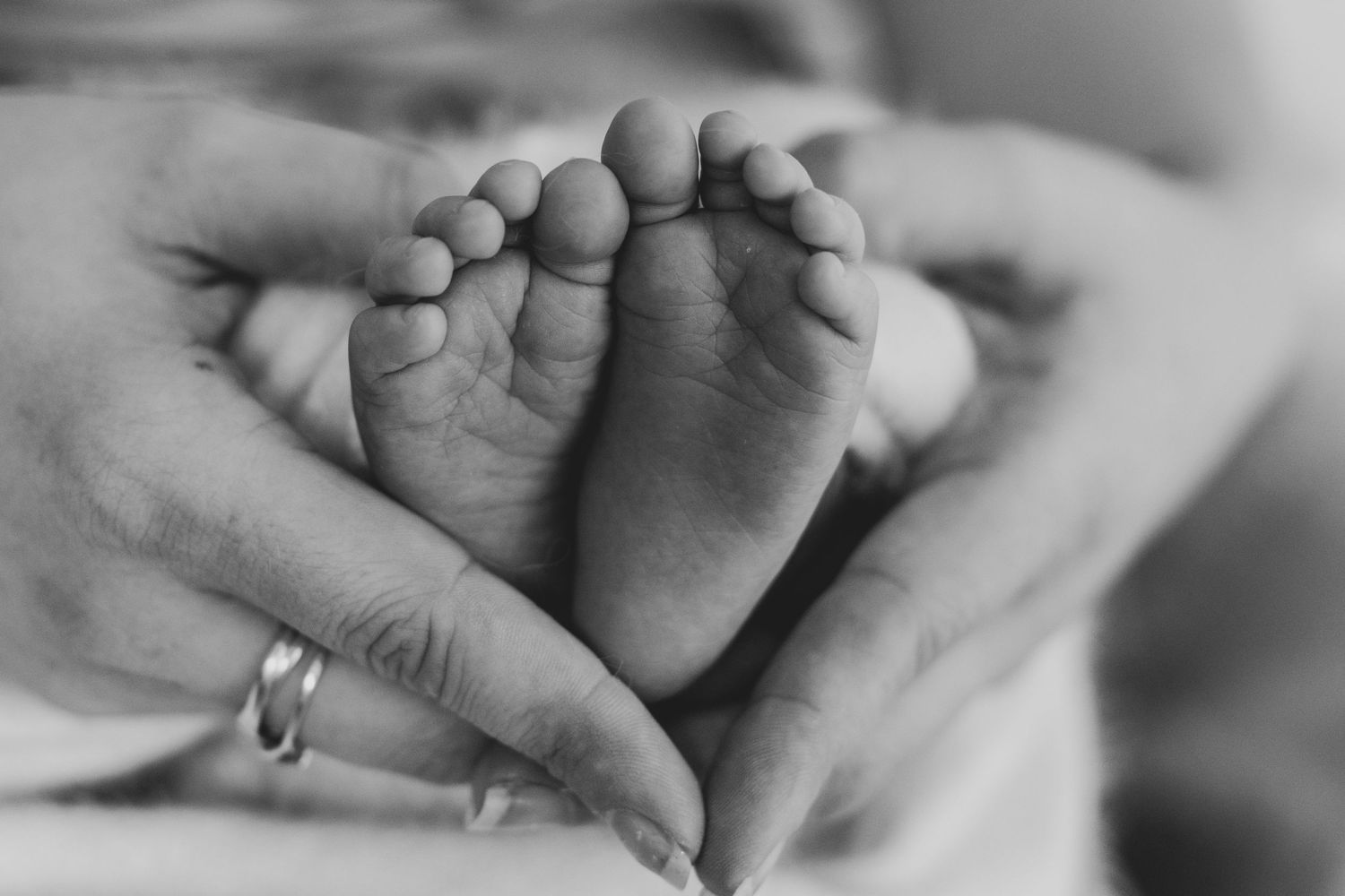 newborn photographer gold coast