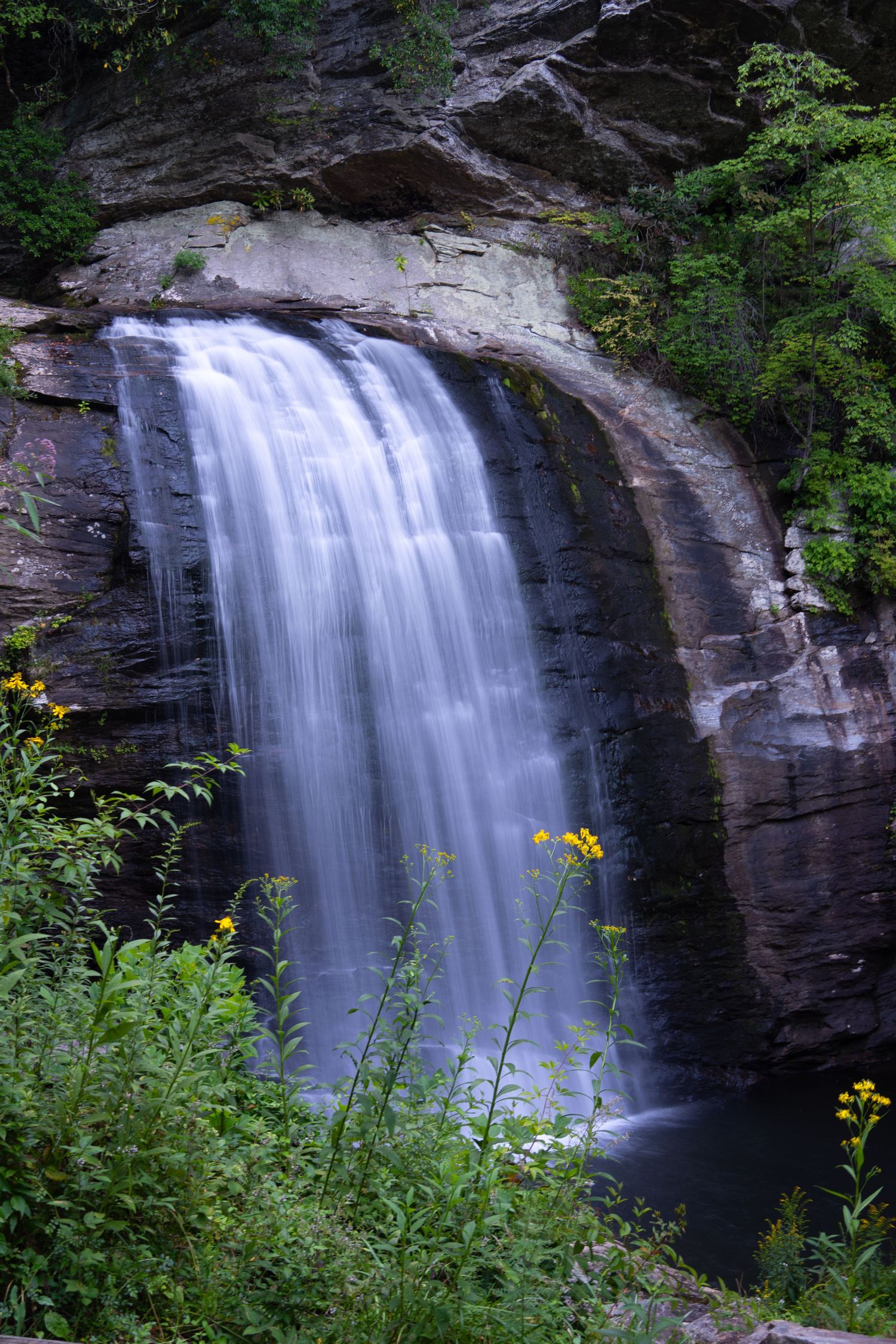 A stunning waterfall cascades over layered rock cliffs surrounded by lush green foliage and yellow wildflowers.
