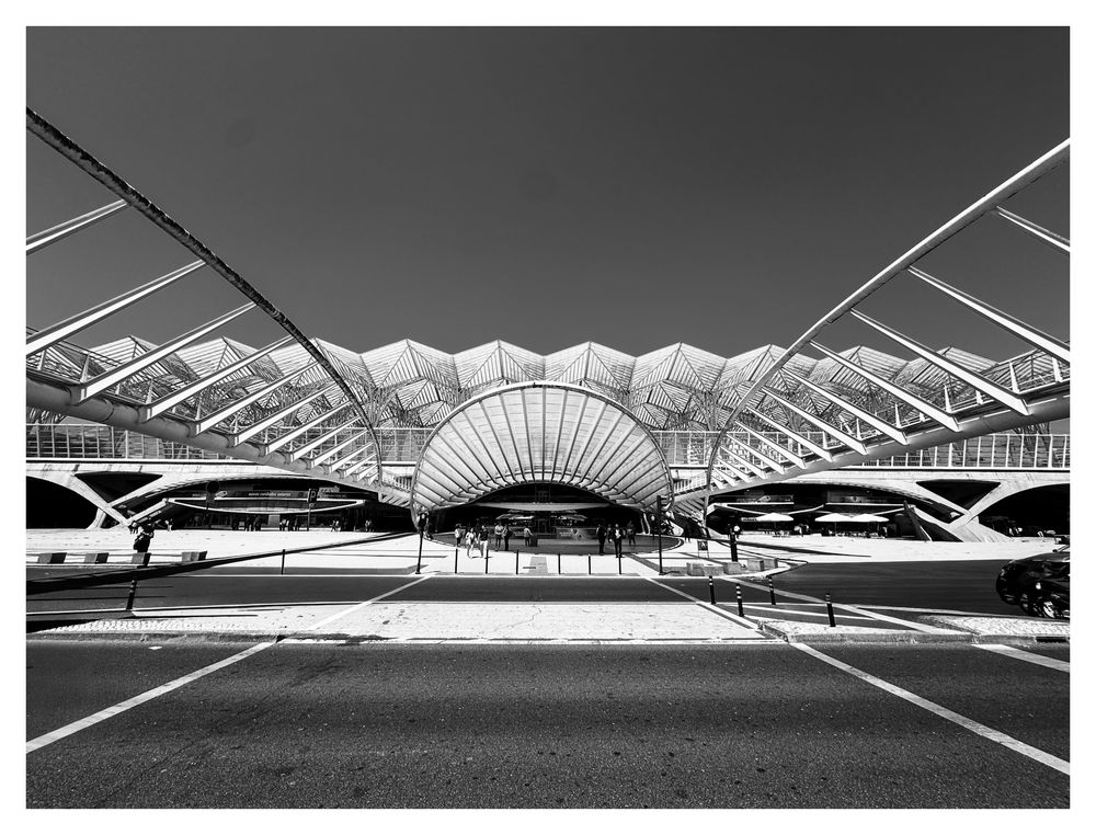 Black and white photo of modern architectural train station Lisbon Orient Station, with sweeping canopy roof and geometric steel structure.