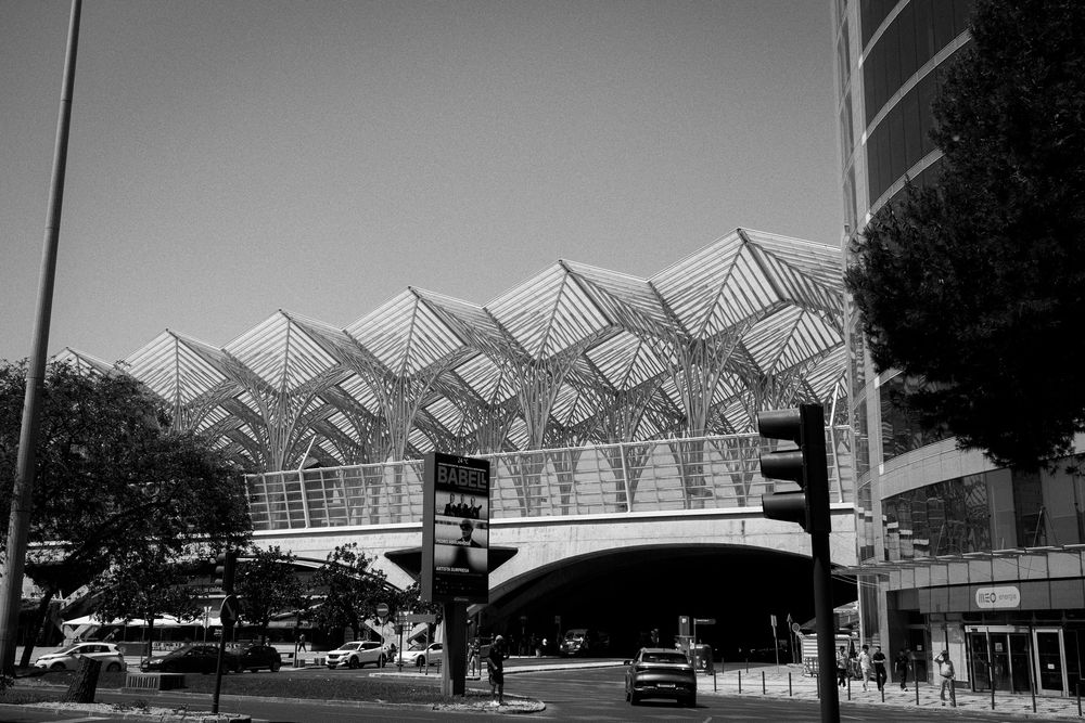 Black and white photo of modern architectural train station Lisbon Orient Station, with sweeping canopy roof and geometric steel structure.