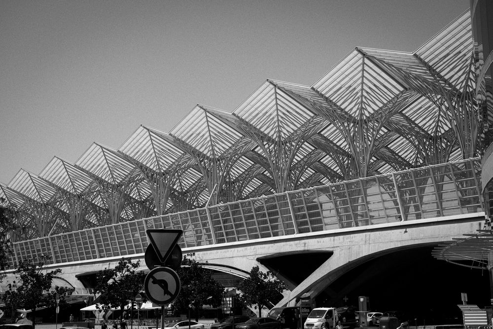 Black and white photo of modern architectural train station Lisbon Orient Station, with sweeping canopy roof and geometric steel structure.