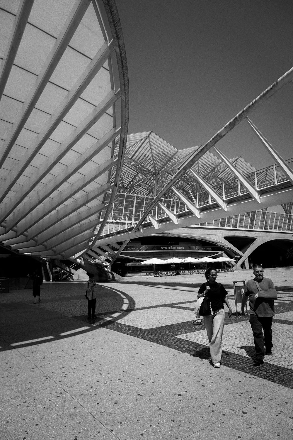 Black and white photo of modern architectural train station Lisbon Orient Station, with sweeping canopy roof and geometric steel structure.