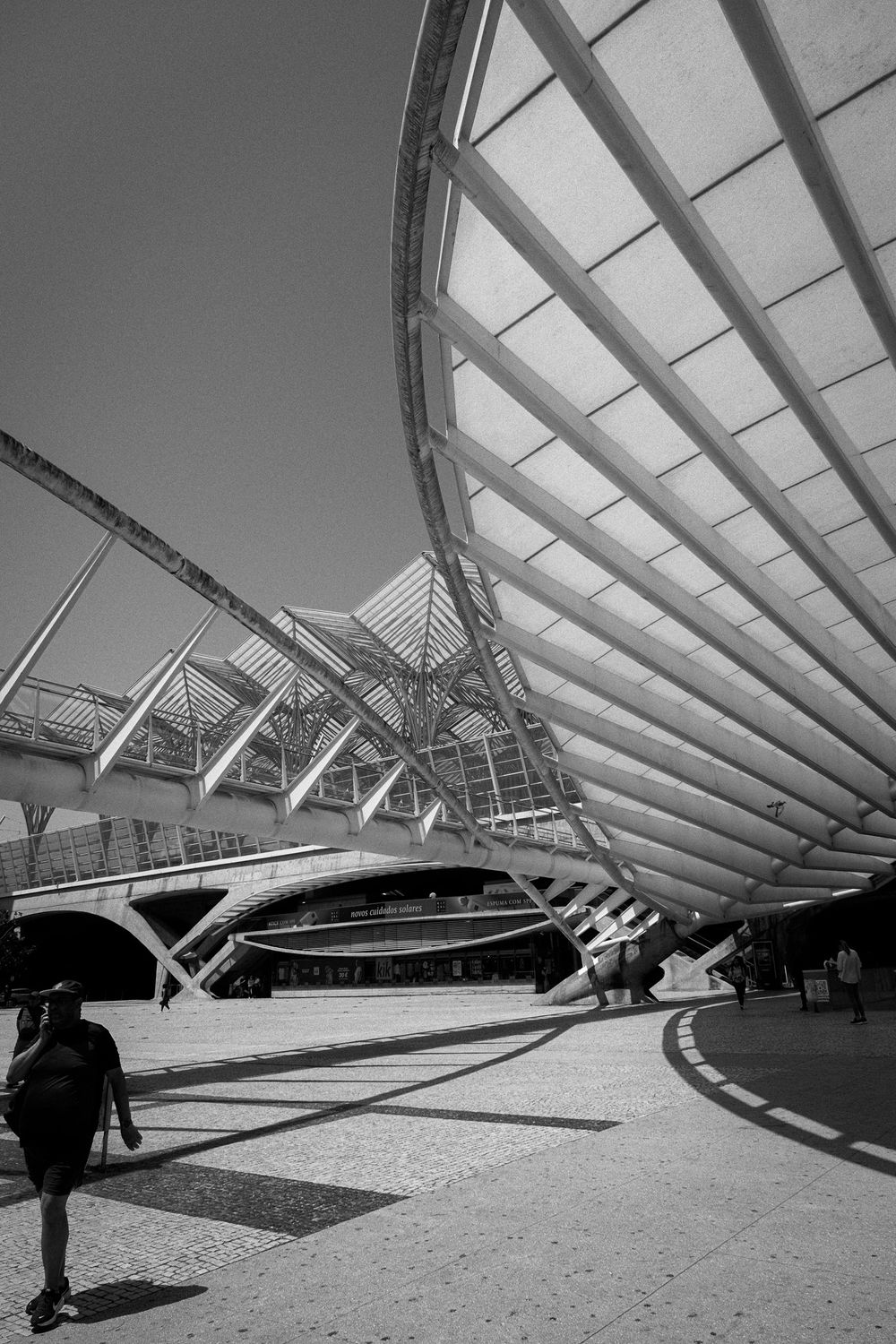 Black and white photo of modern architectural train station Lisbon Orient Station, with sweeping canopy roof and geometric steel structure.