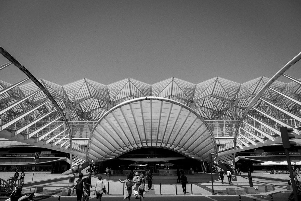 Black and white photo of modern architectural train station Lisbon Orient Station, with sweeping canopy roof and geometric steel structure.