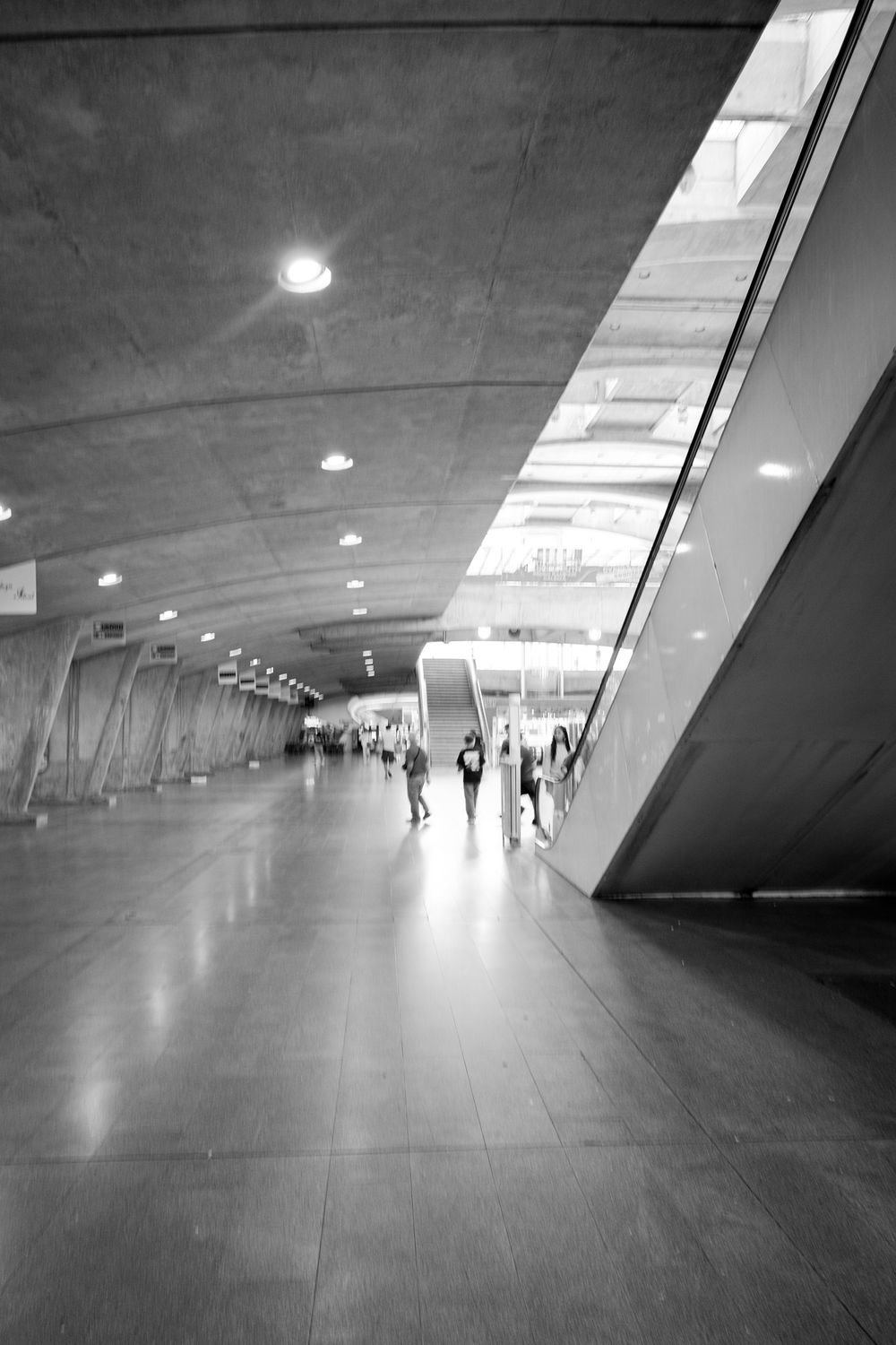 Black and white photo of modern architectural train station Lisbon Orient Station, with sweeping canopy roof and geometric steel structure.