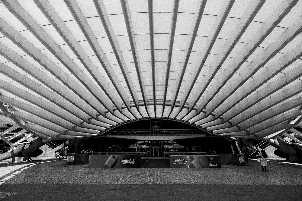 Black and white photo of modern architectural train station Lisbon Orient Station, with sweeping canopy roof and geometric steel structure.