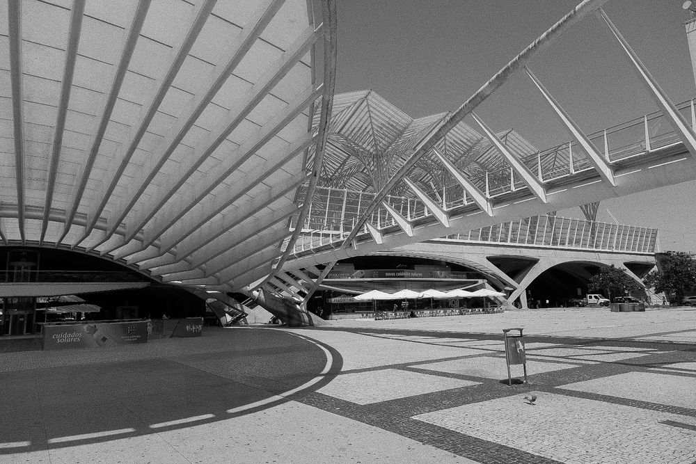 Black and white photo of modern architectural train station Lisbon Orient Station, with sweeping canopy roof and geometric steel structure.
