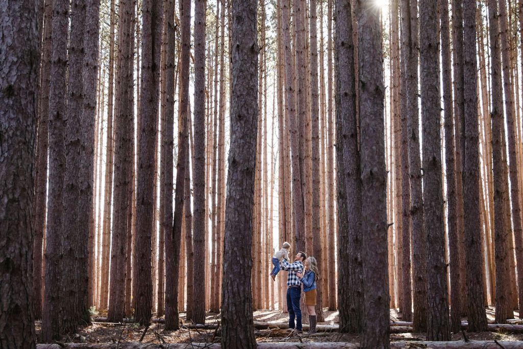 Couple embracing among tall pine trees in a sunlit forest during an outdoor photo session.