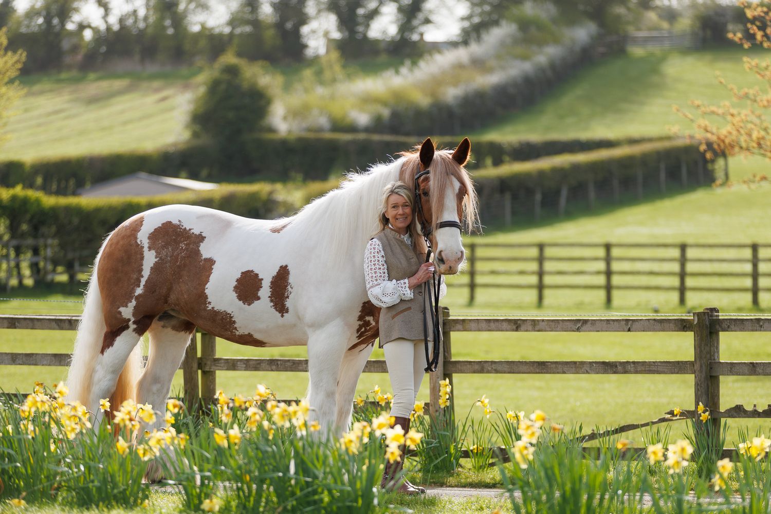 A series of seven photos showing a white horse and rider interacting at a wooden fence in an outdoor setting.
