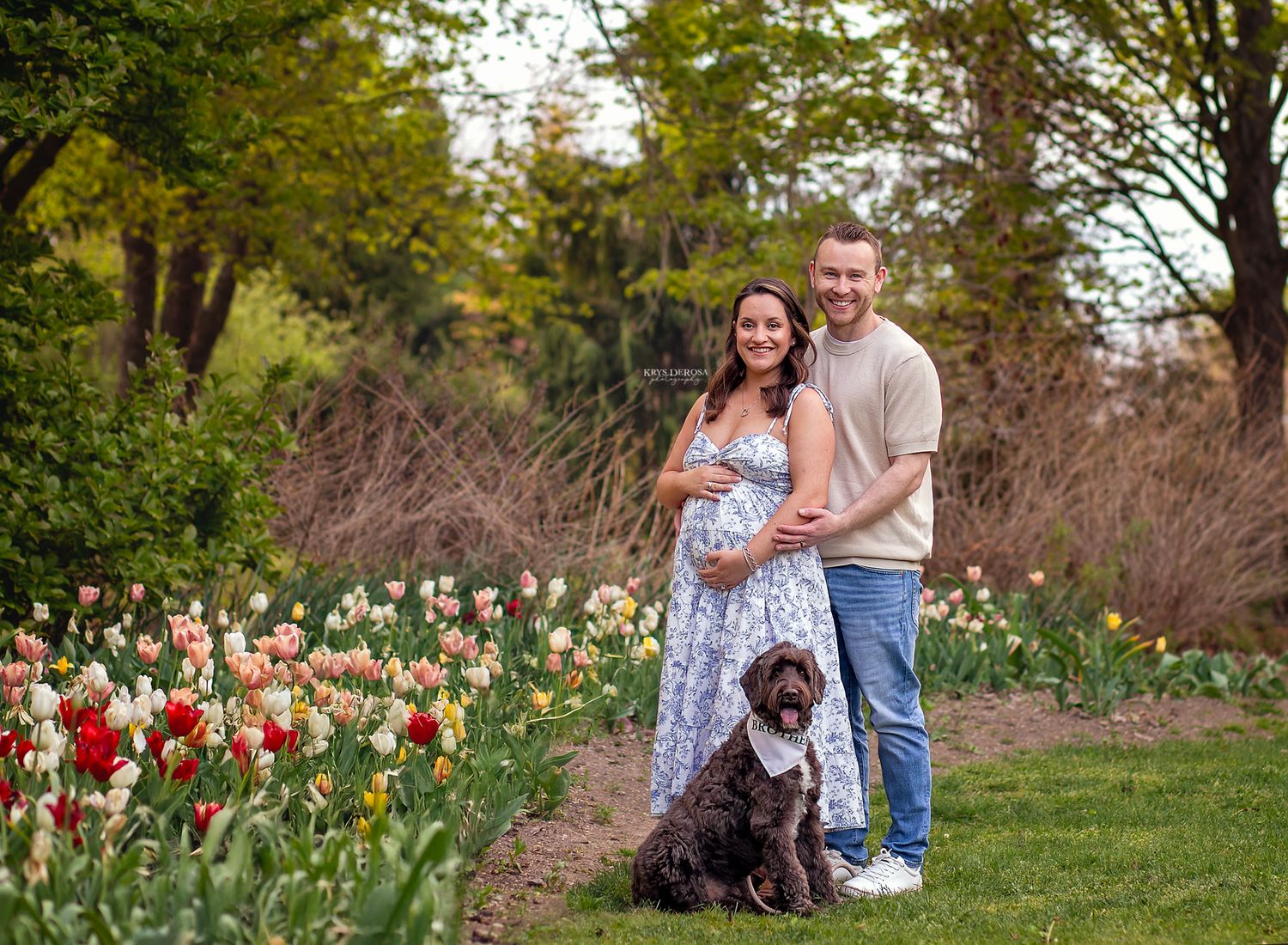 Pregnant couple smiling in a tulip garden with their brown dog, surrounded by colorful spring flowers.