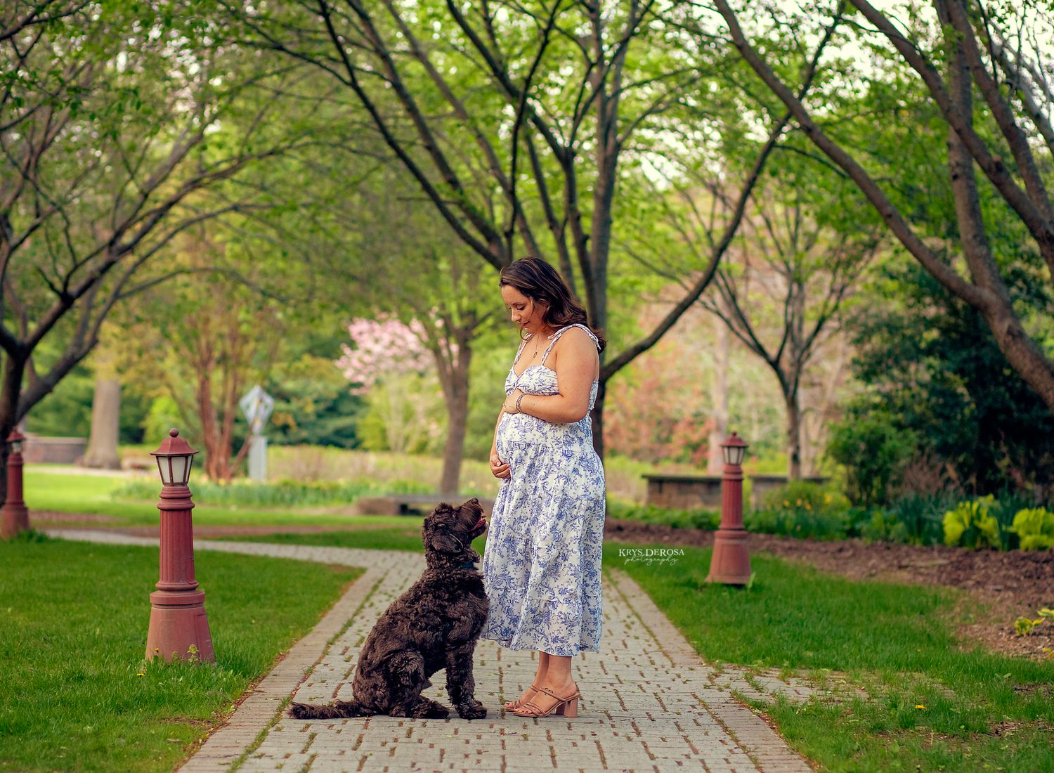 Pregnant woman in floral dress standing with black dog on brick path in lush green park.