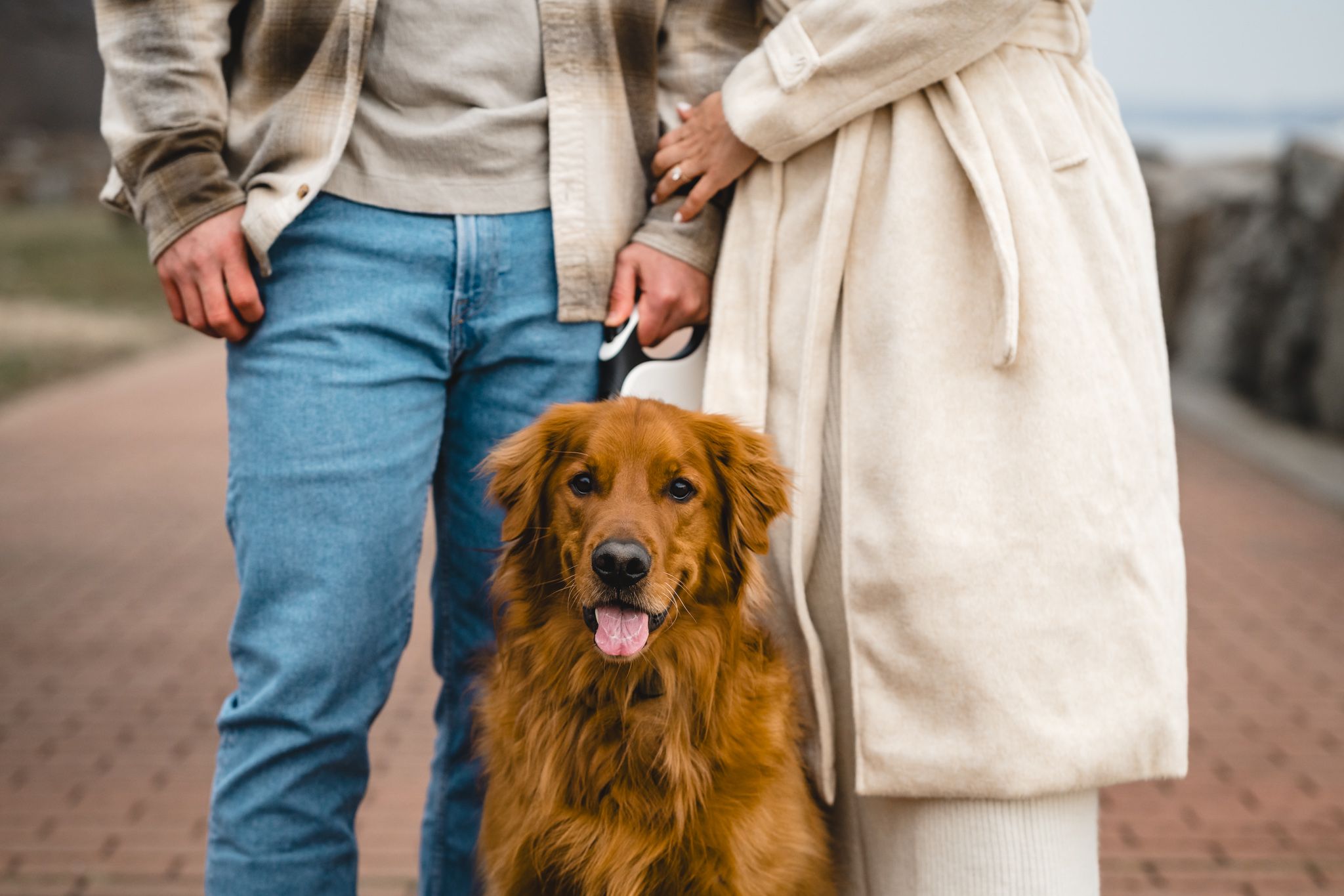 A couple walking a golden retriever dog on a leash along a brick pathway outdoors.