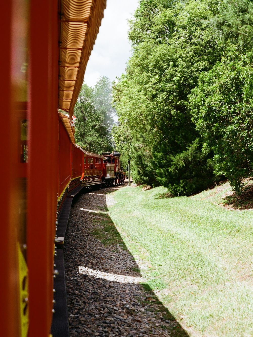 Red Walt Disney World Railroad train winding through lush green trees at Magic Kingdom theme park.