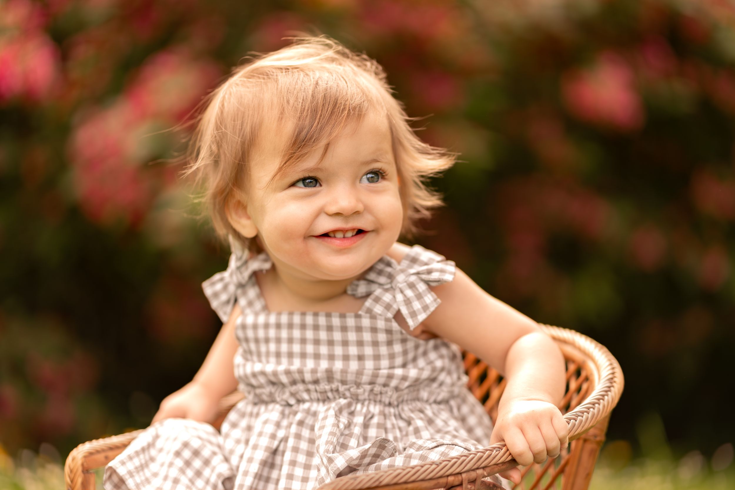Smiling baby girl in gingham dress sitting in wicker chair outdoors during a childhood photography session in Lincolnshire.