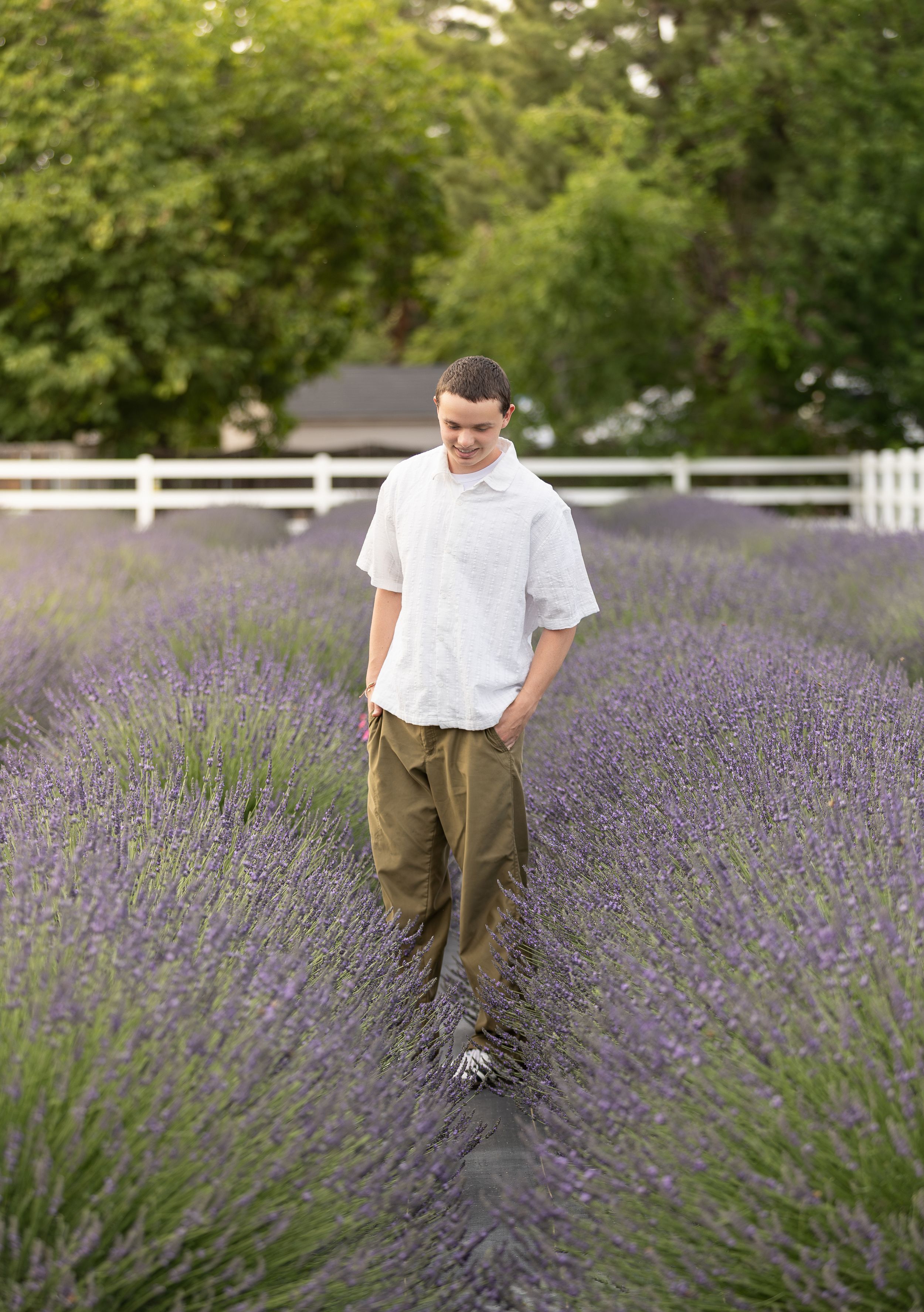 Young man in white shirt and olive pants walks through rows of purple lavender with white fence backdrop.