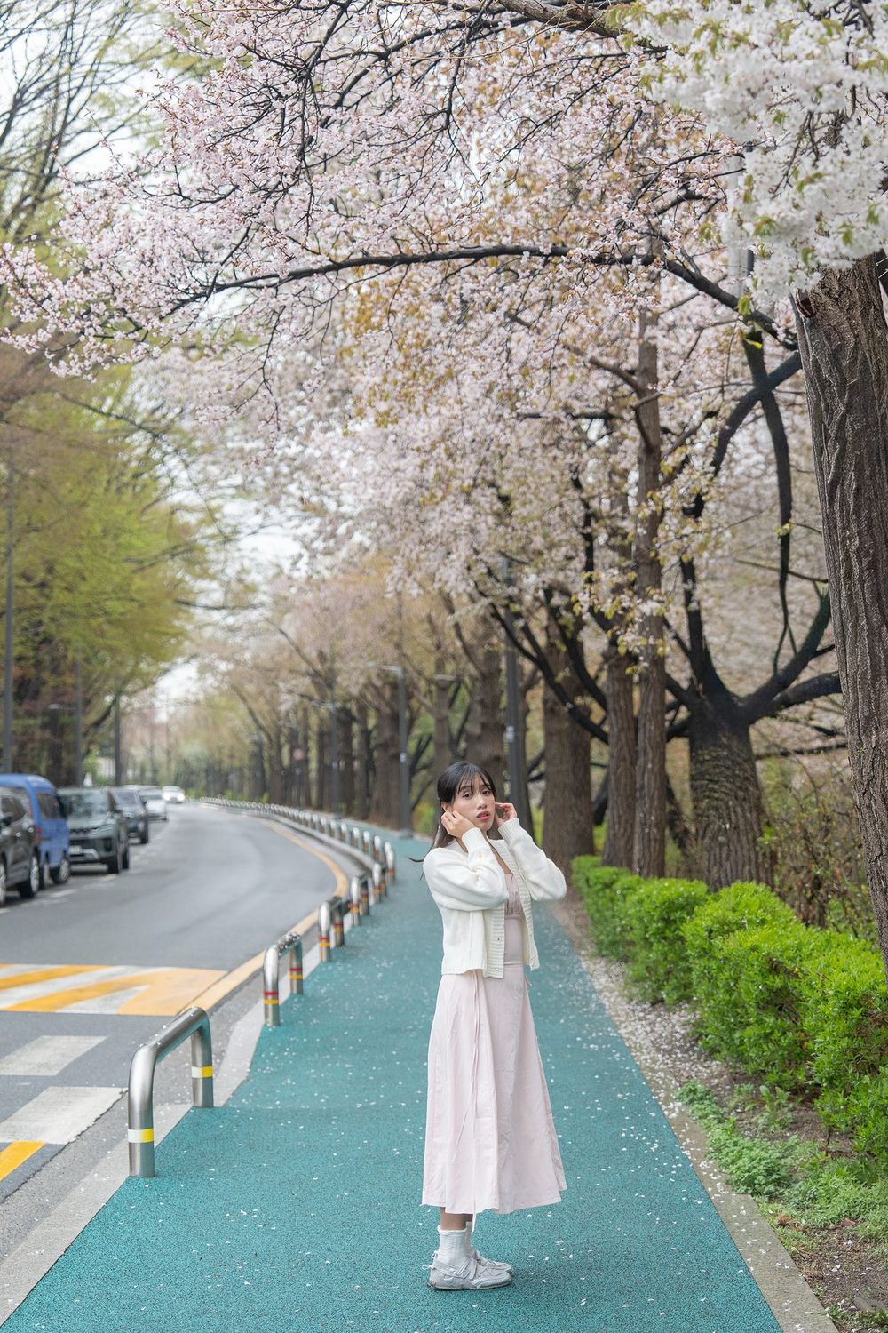 Young woman in white jacket and pink skirt standing on a tree-lined path under blooming cherry blossoms in spring.
