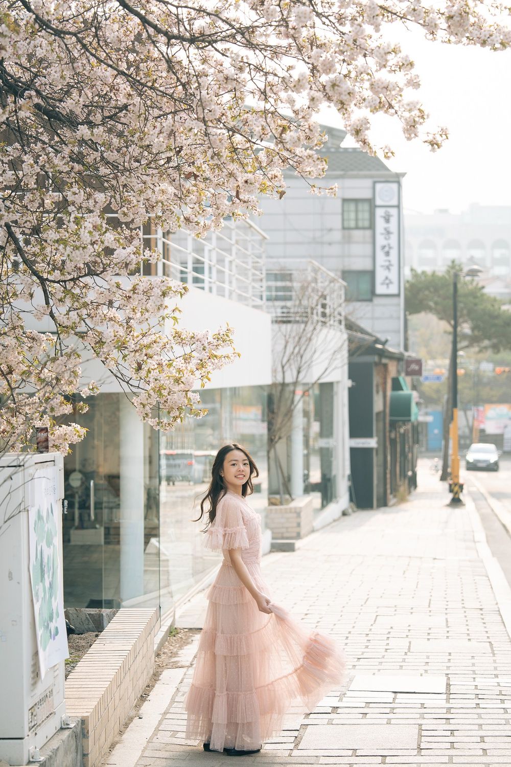 Woman in pink tulle dress standing under cherry blossoms on a Korean street in spring.