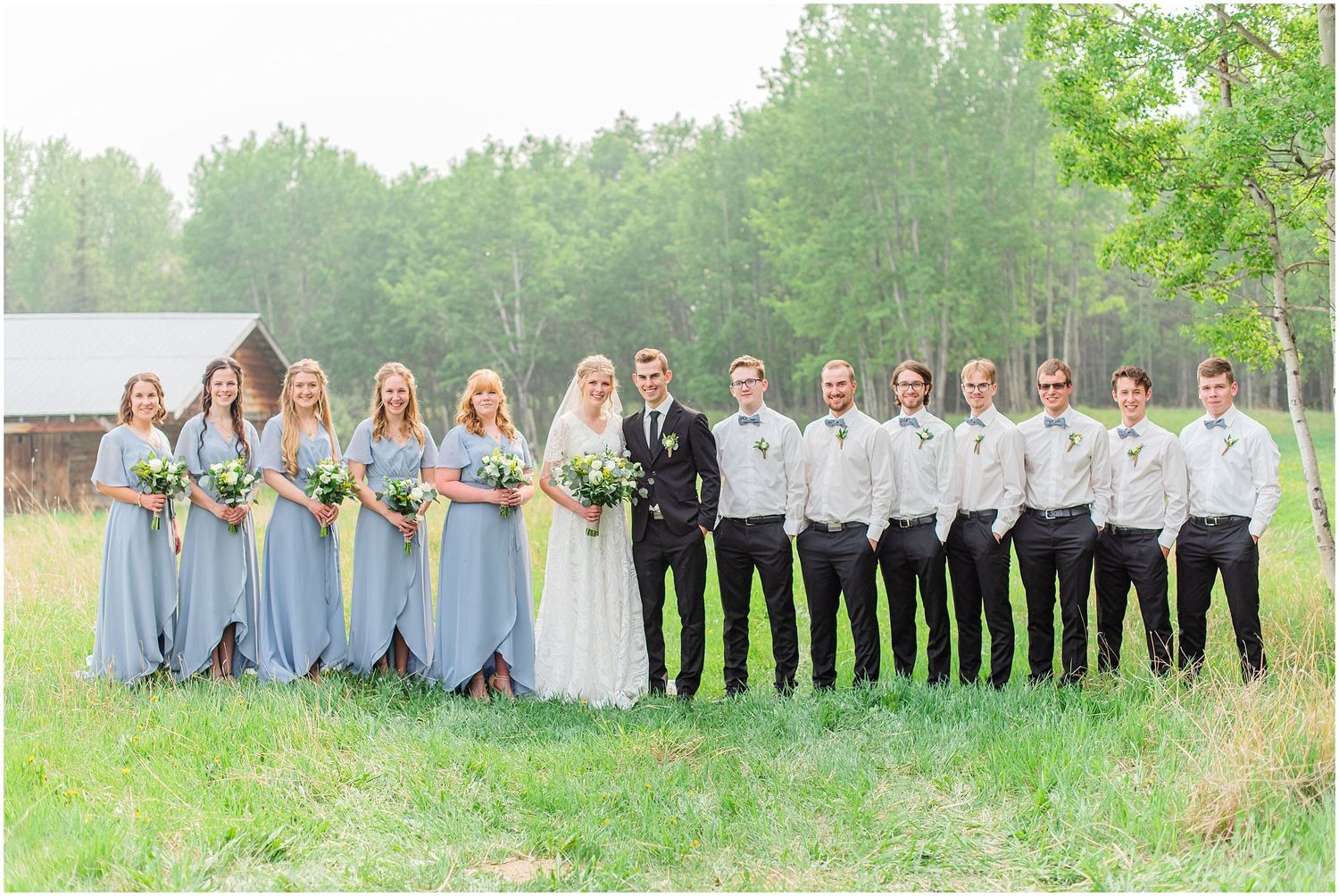 Wedding party poses in green field, bridesmaids in blue gowns and groomsmen in white shirts with black pants.