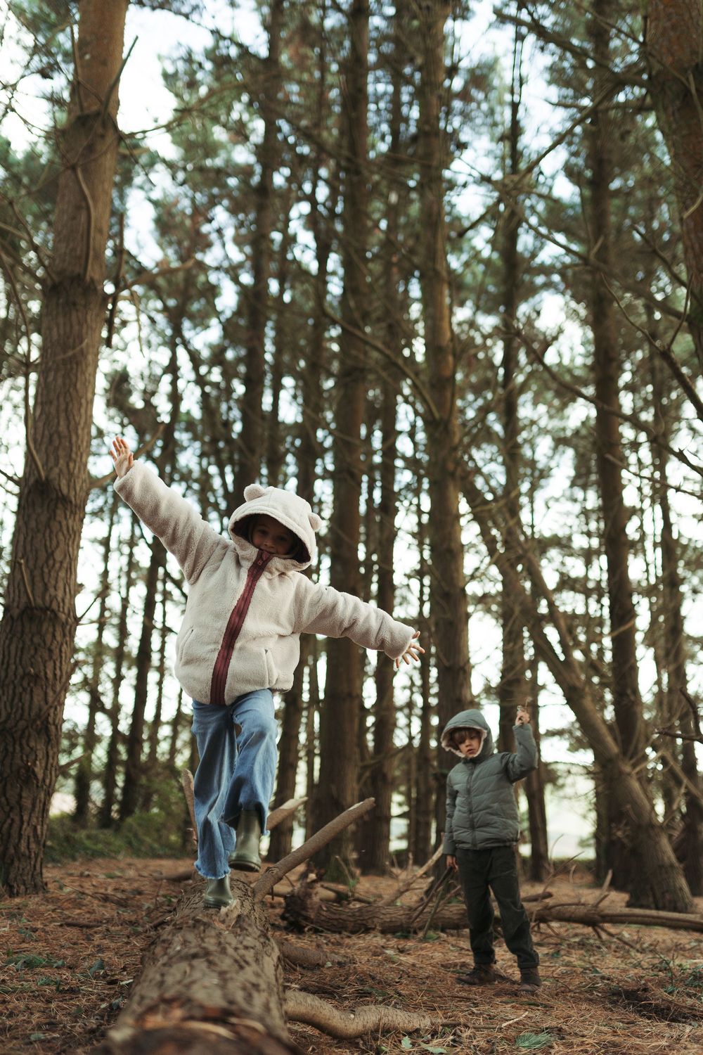 Two children playing in a forest, balancing on fallen logs among tall pine trees wearing winter jackets.