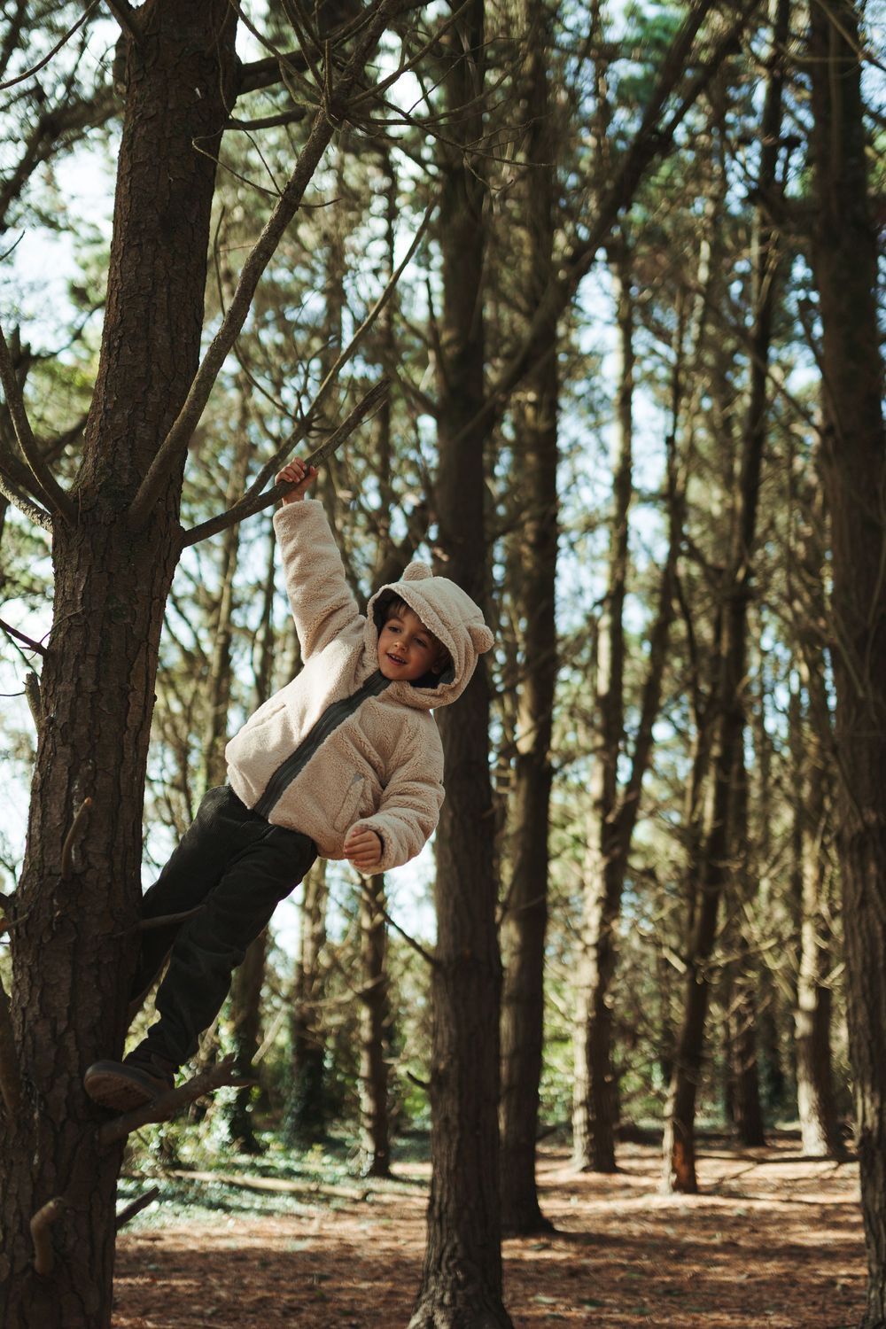 Child in white hoodie climbing a tree branch in a sunlit forest with tall pine trees.