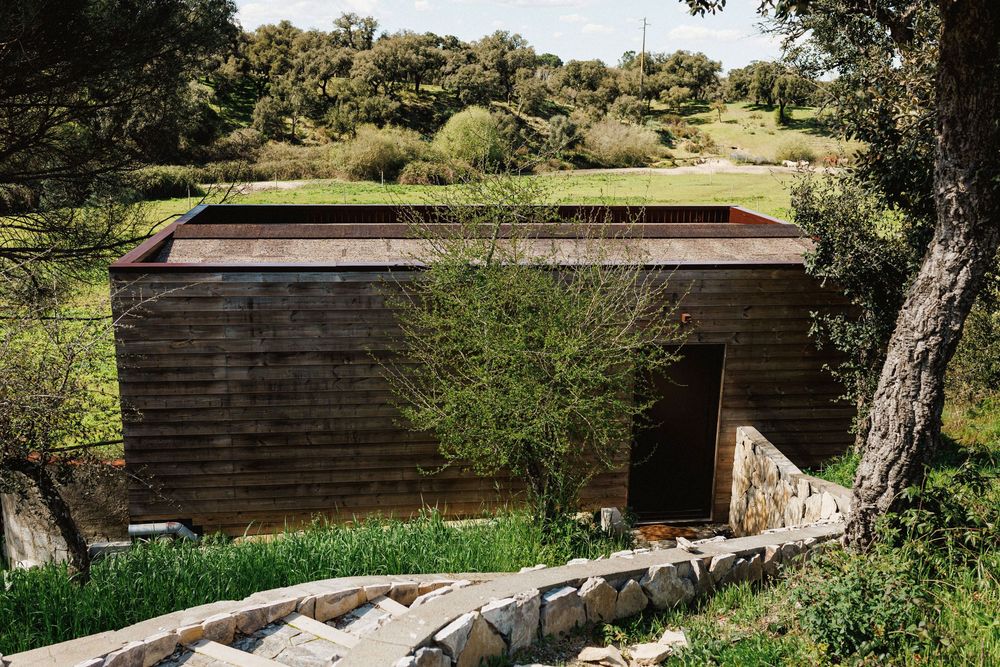 Modern wooden deck with stone retaining wall nestled among lush greenery and trees in Herdade do moinho novo