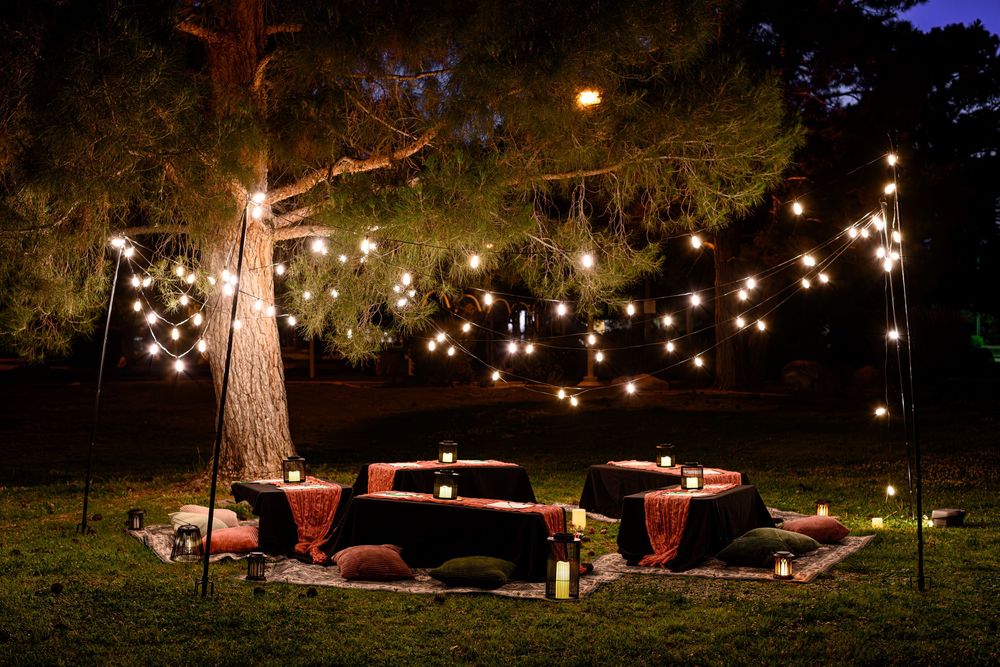 Outdoor string lights illuminate a cozy backyard seating area with red chairs under tall trees at night. Branding photography Las Vegas
