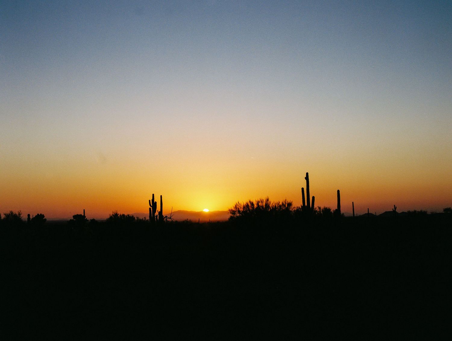 A sequence of desert sunset photos showing the progression from daylight to dusk with silhouetted saguaro cacti against the sky.