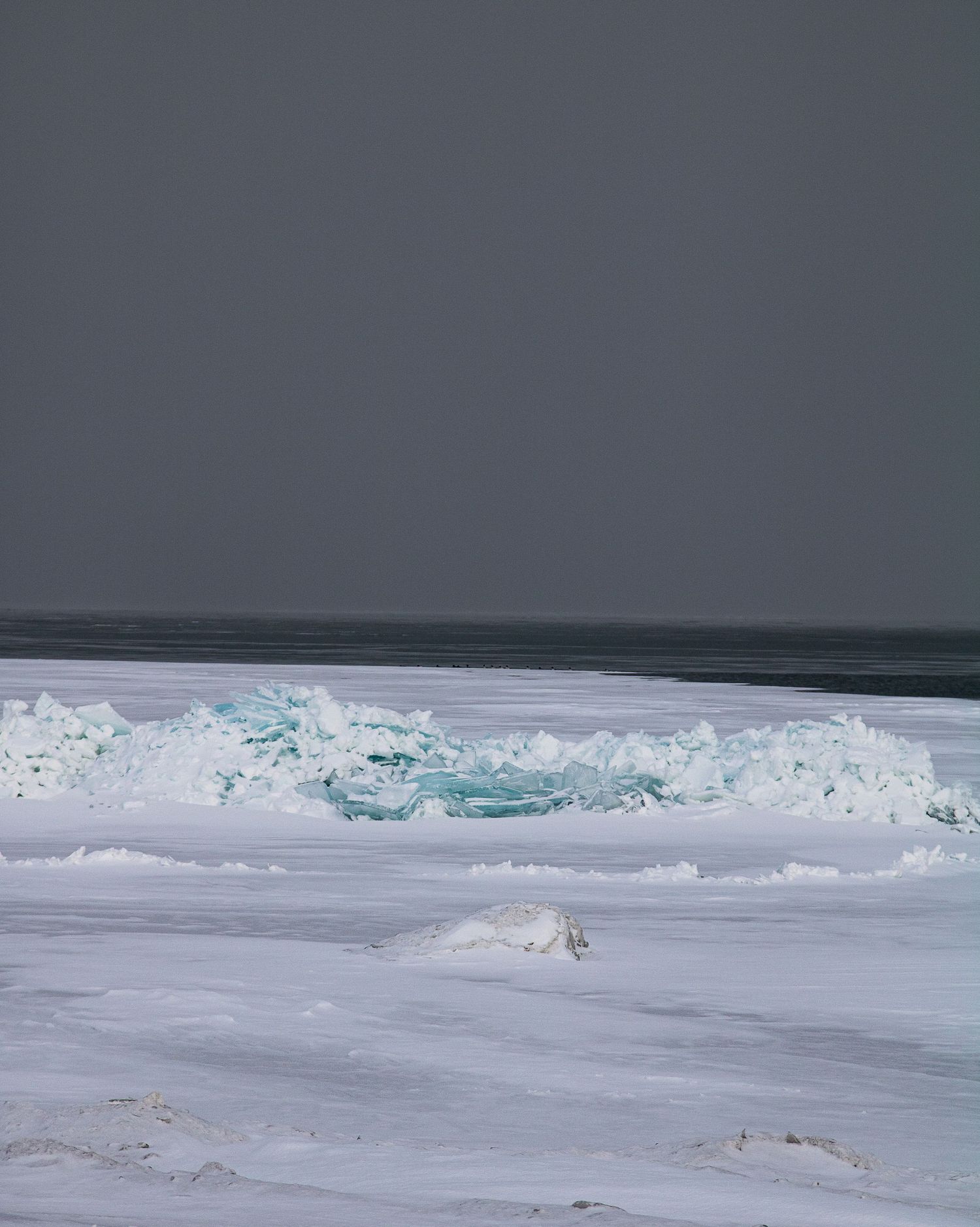 Dramatic waves crash against a snowy winter beach creating a stark contrast between white foam and dark waters.