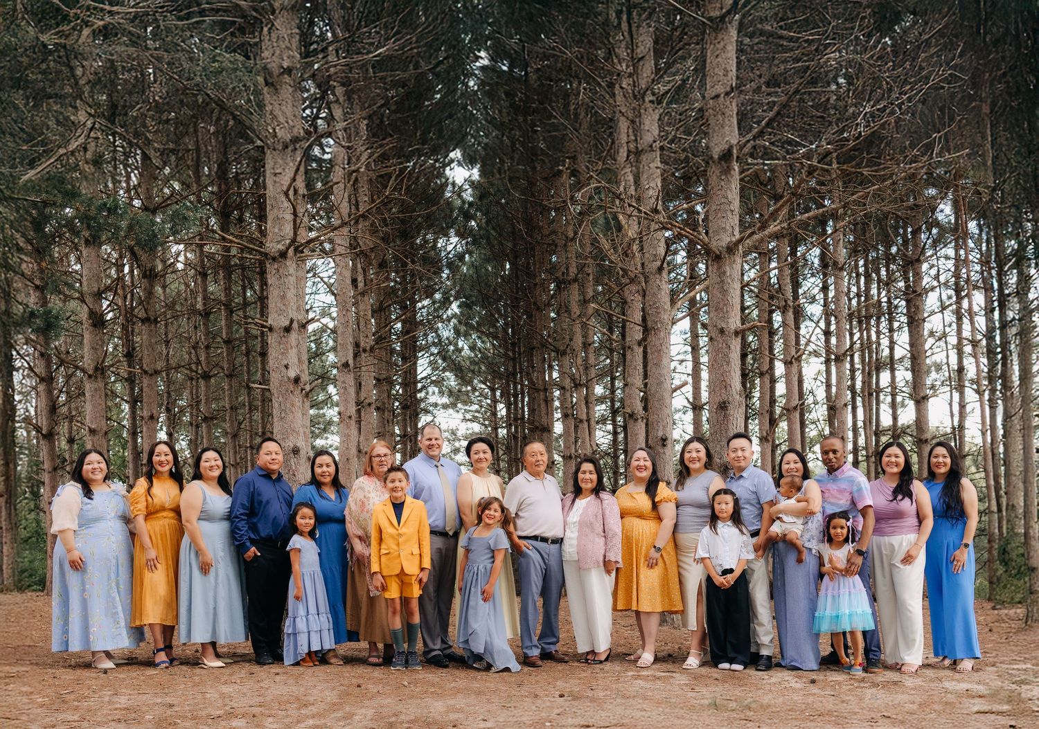 A panoramic sequence of people in formal attire standing together in a pine forest setting.