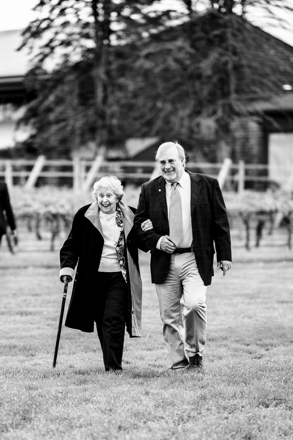 A series of playful moments captured on a grassy lawn showing joyful interactions at an outdoor event.