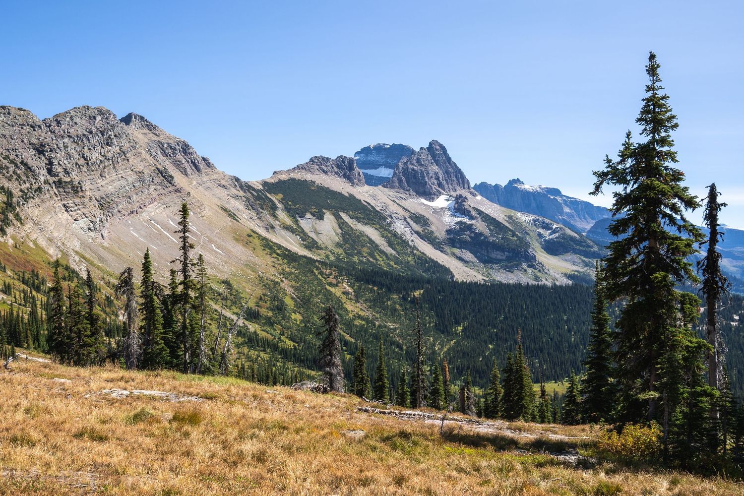 Scenic mountain landscape panorama with rugged peaks, evergreen trees, and golden meadows in the alpine wilderness.