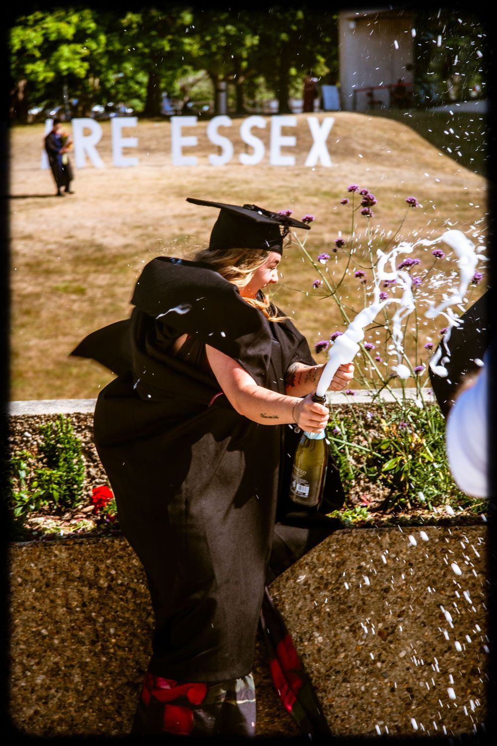 Person in black clothing spraying graffiti on a concrete wall in an outdoor setting with sunlight and foliage.