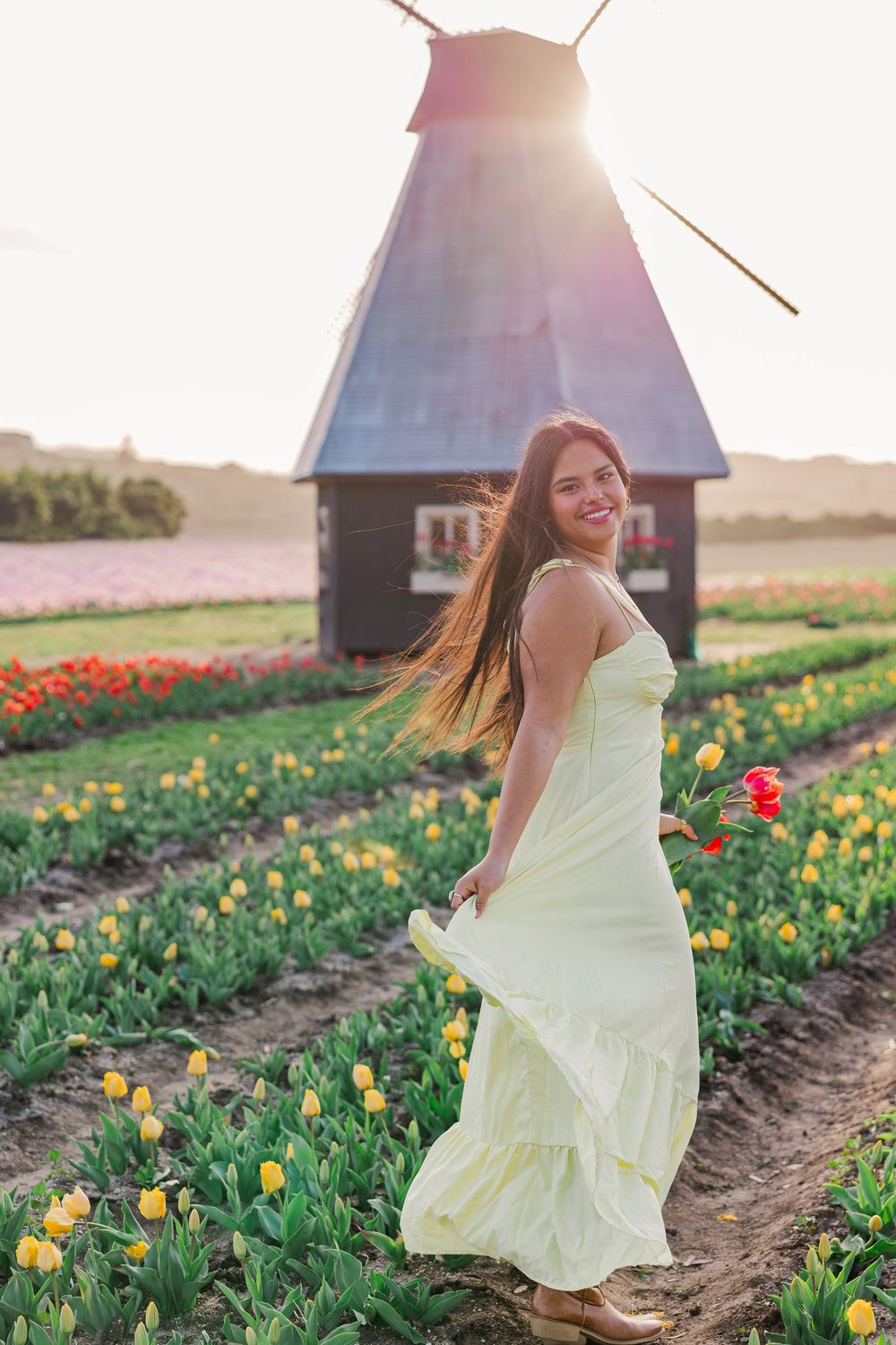 Woman in flowing white dress dances through vibrant tulip field at sunset near rustic windmills.