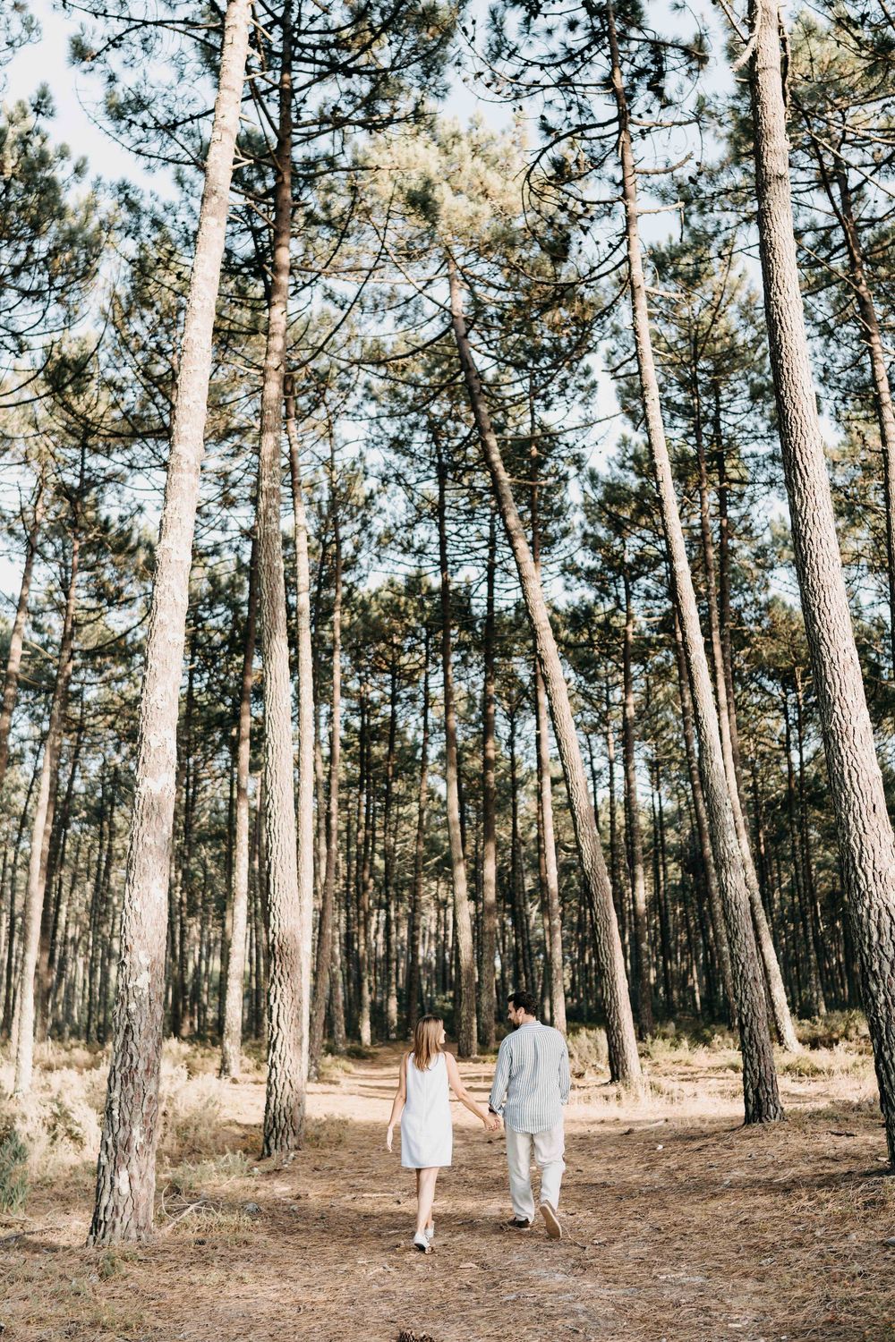 People walking through a serene pine forest with tall trees and dappled sunlight filtering through the canopy.