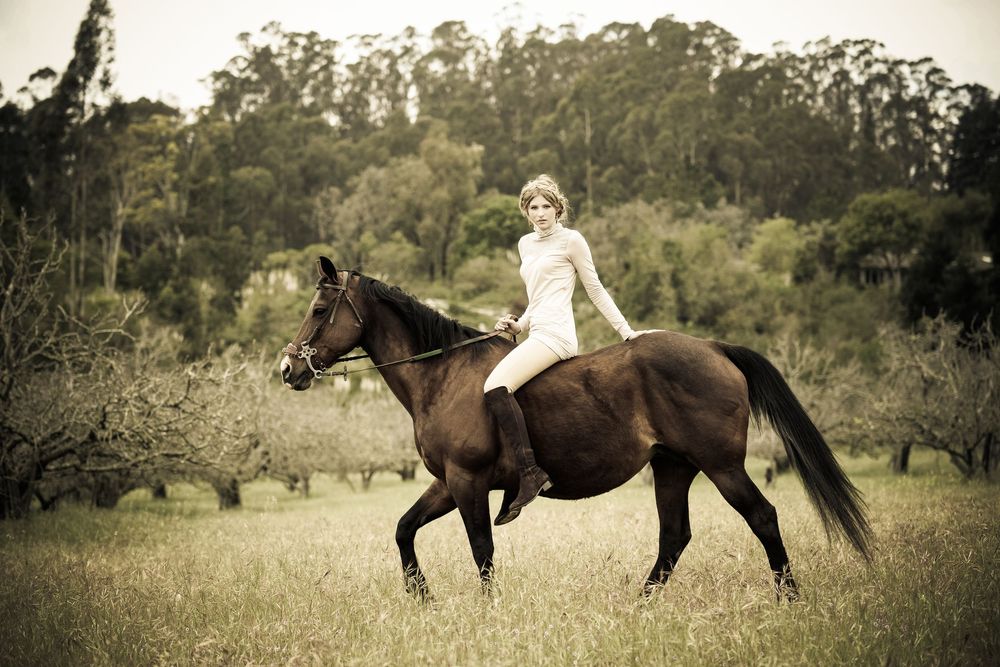 A rider in white riding a dark brown horse through a misty wooded meadow in vintage sepia tones.