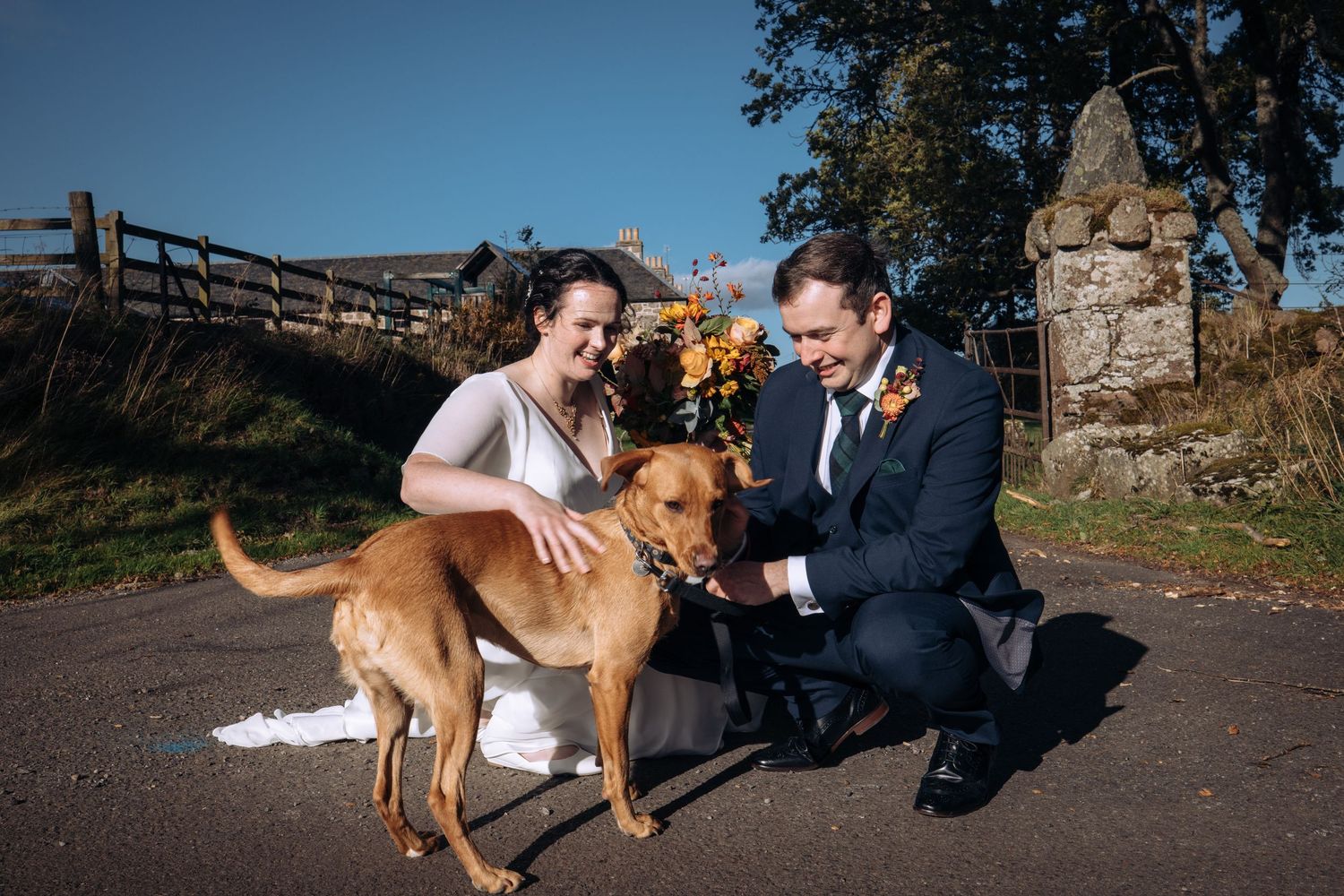 A person in formal attire plays with a brown dog outdoors in a series of connected photos.