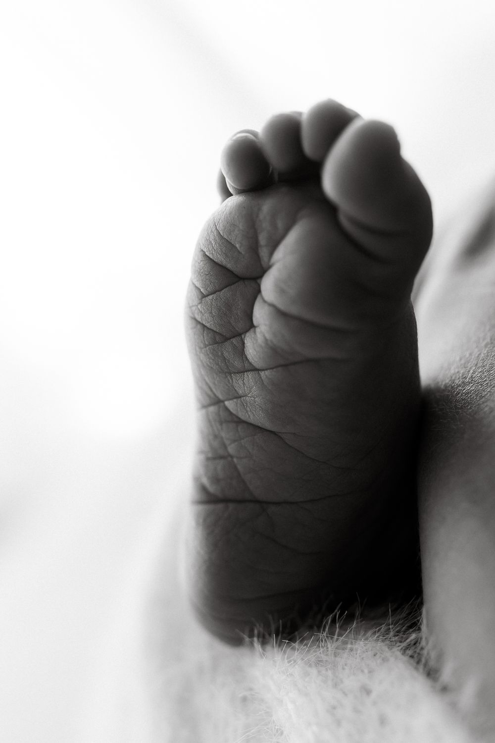 Close-up black and white photograph of a tiny newborn baby's clenched fist against a soft, blurred background.